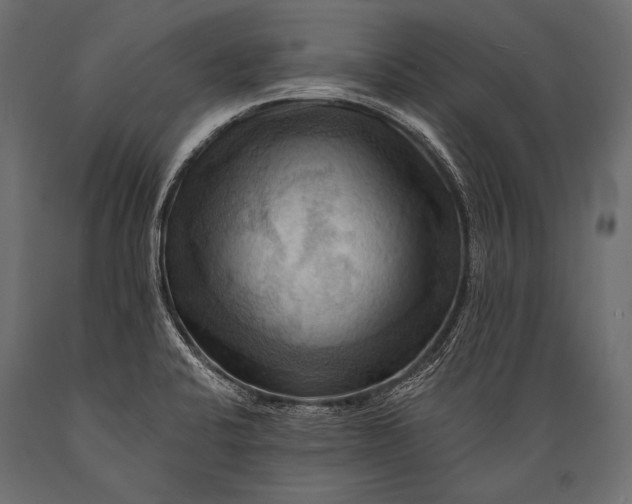 X0000088861424200706291507