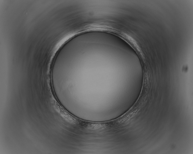 X0000088861427200706291507