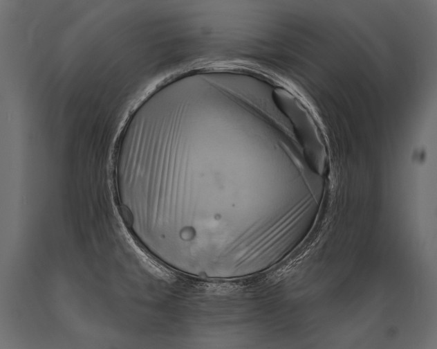 X0000088861429200706291507