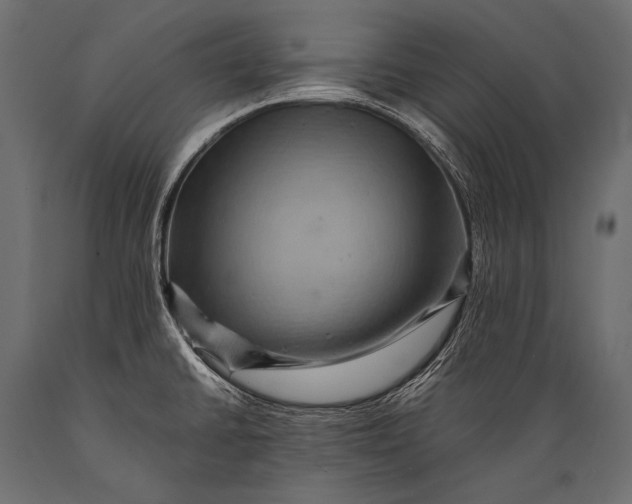 X0000088861430200706291507