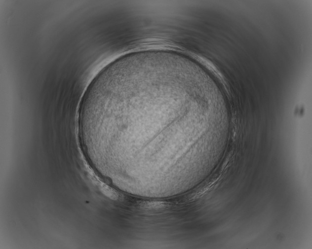 X0000088861431200706291508