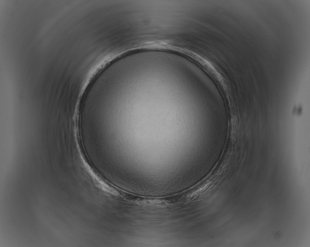 X0000088861432200706291508