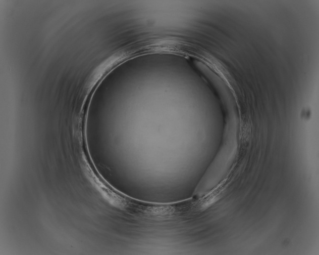 X0000088861434200706291508