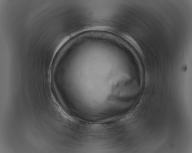 X0000088861436200706291508