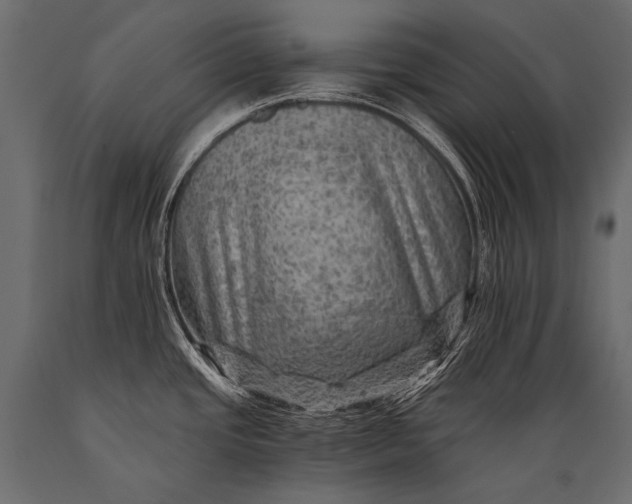 X0000088861437200706291508