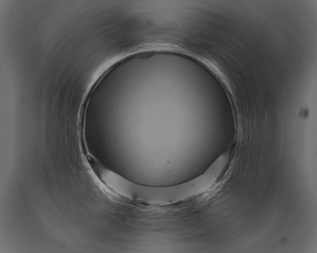 X0000088861438200706291508