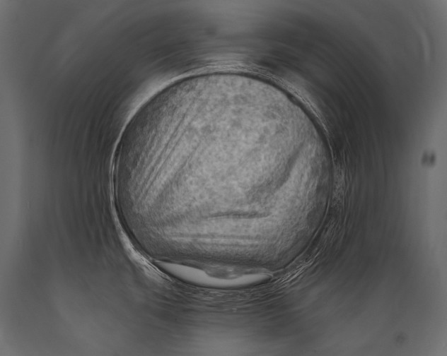 X0000088861439200706291508