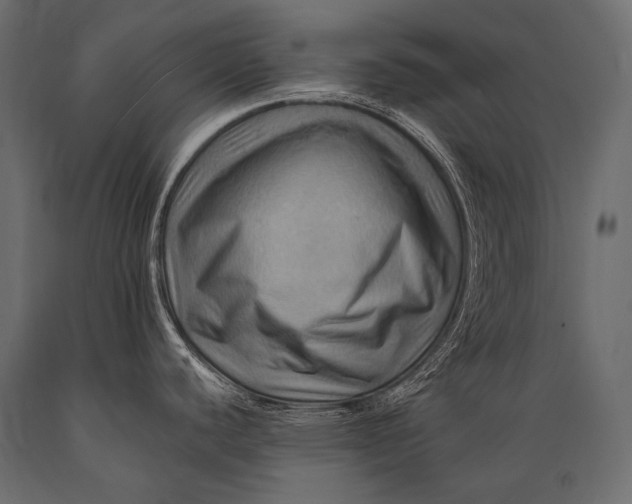 X0000088861440200706291508
