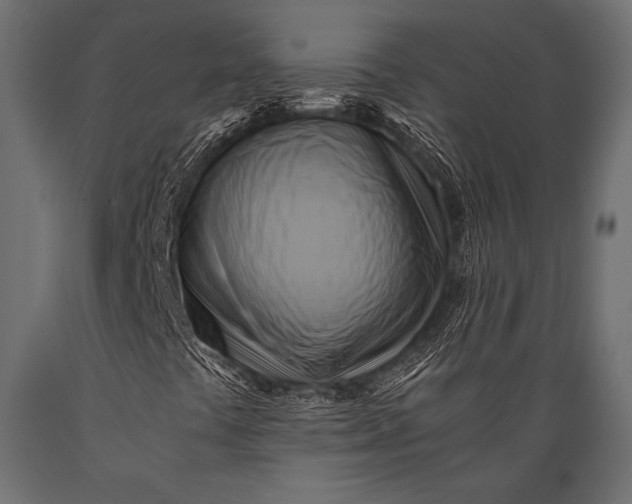 X0000088861441200706291507