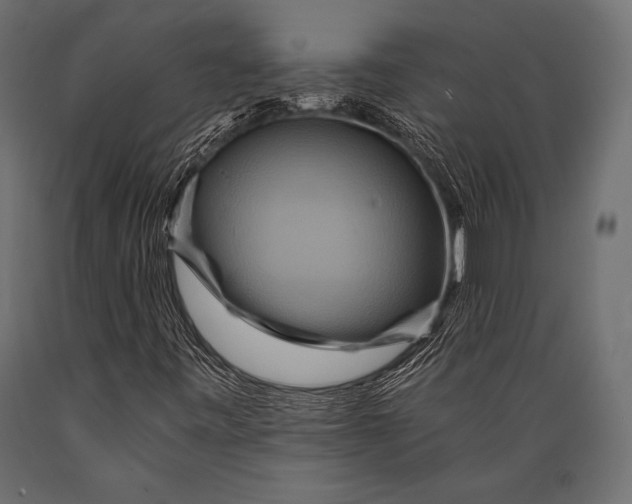 X0000088861443200706291507