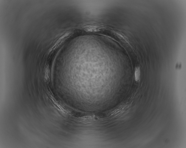 X0000088861444200706291507