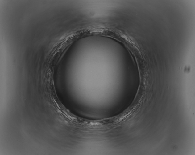 X0000088861445200706291507