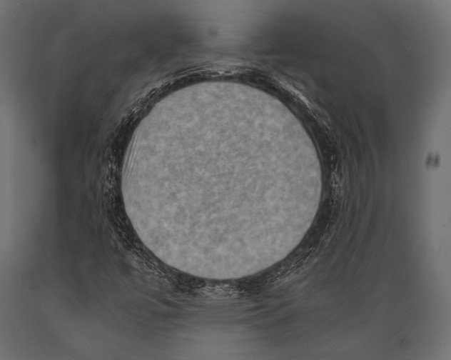 X0000088861447200706291507