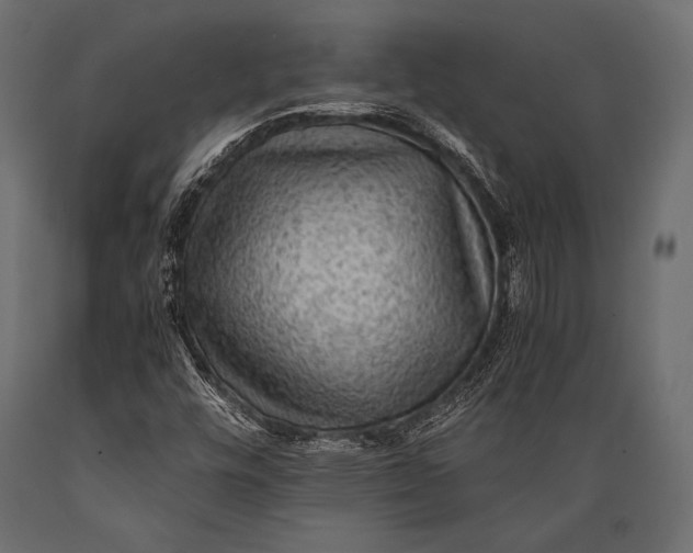 X0000088861448200706291507