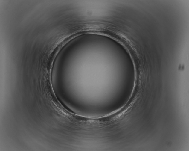 X0000088861449200706291507