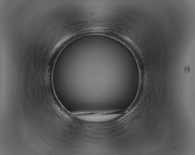 X0000088861450200706291507