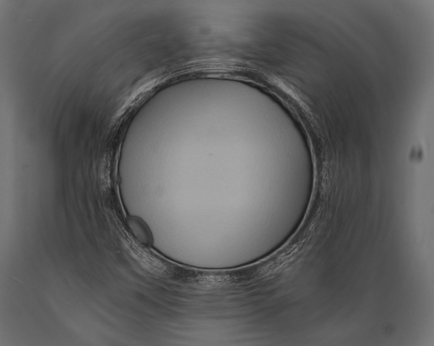 X0000088861451200706291507