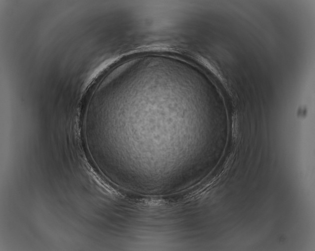 X0000088861452200706291507