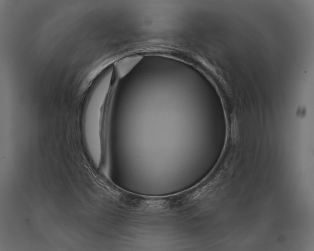 X0000088861453200706291507