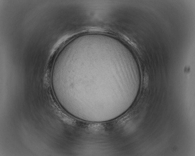 X0000088861454200706291507