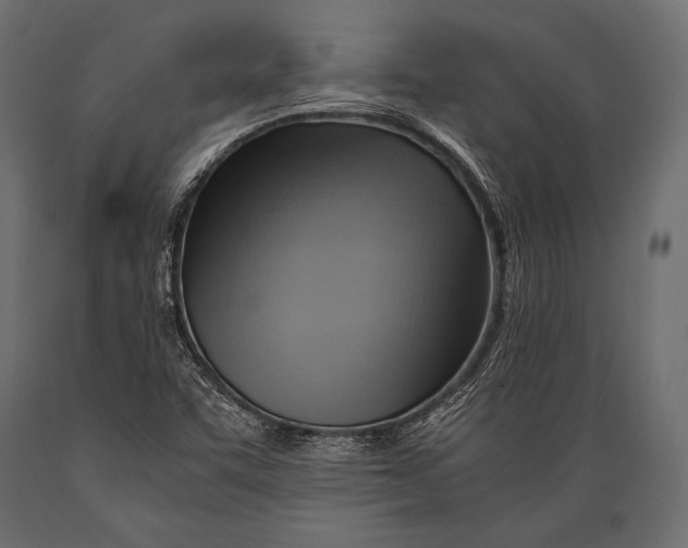 X0000088861455200706291507