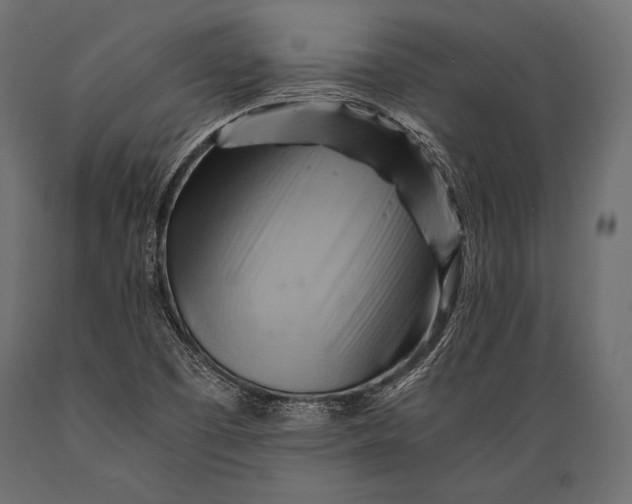 X0000088861457200706291507