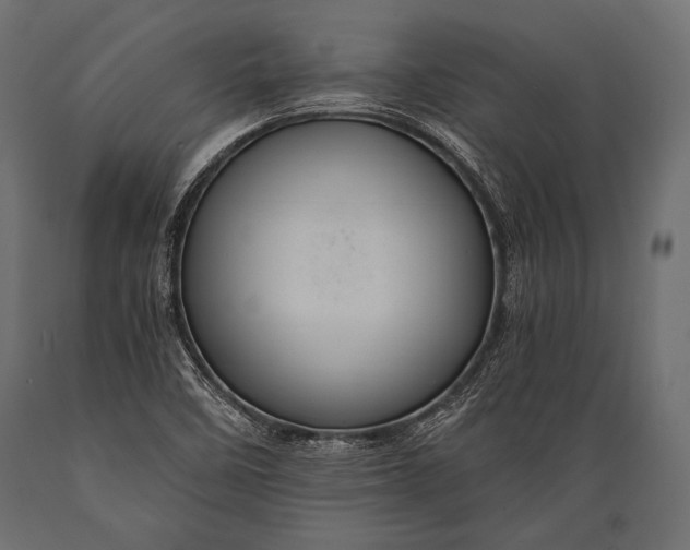 X0000088861458200706291507