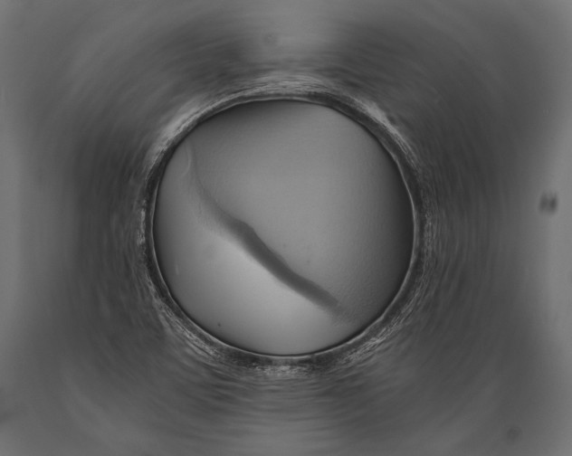 X0000088861459200706291507