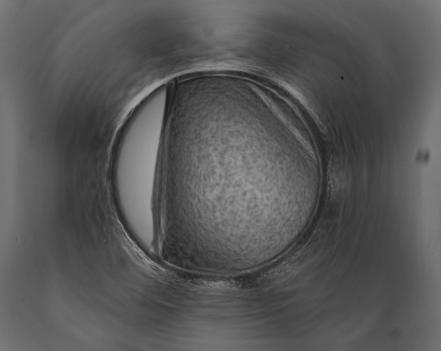 X0000088861460200706291507