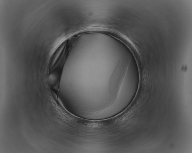 X0000088861461200706291507