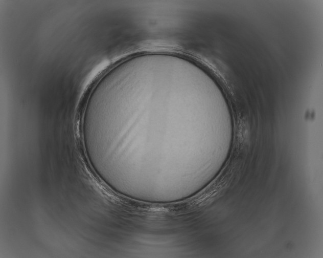 X0000088861462200706291507