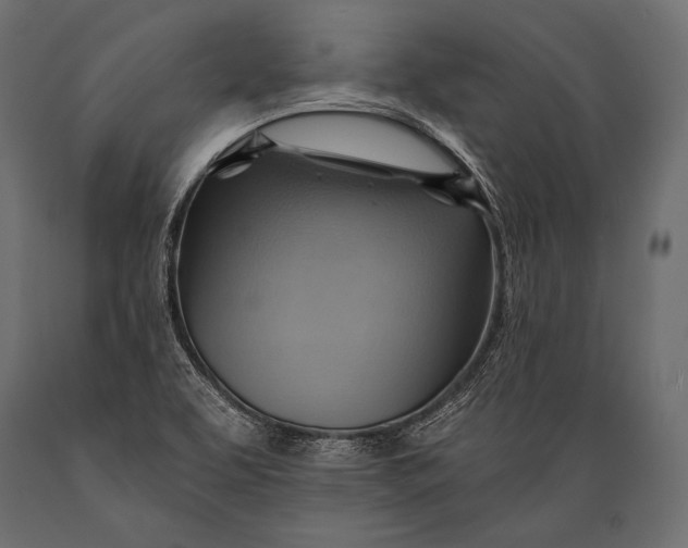 X0000088861463200706291507