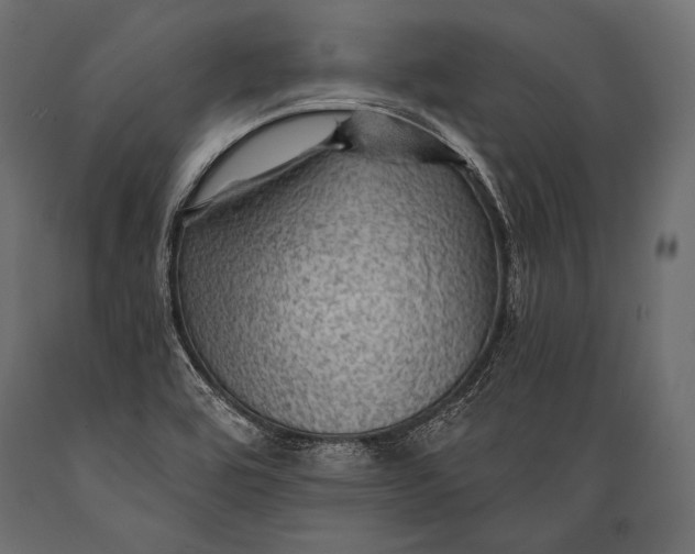 X0000088861464200706291507