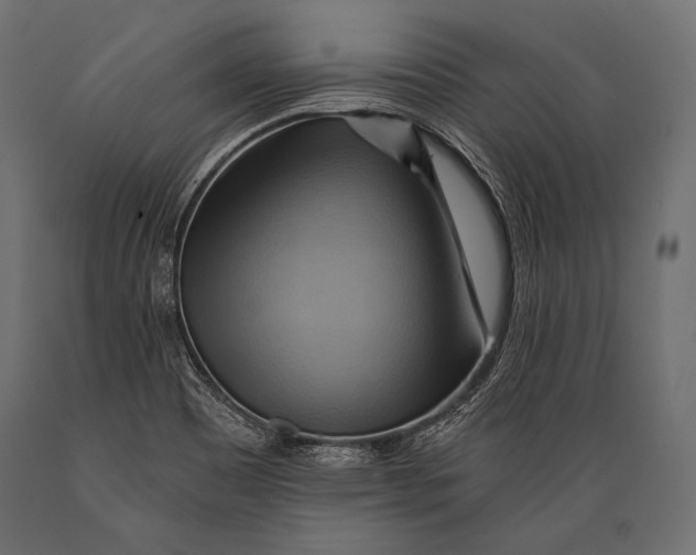 X0000088861465200706291507