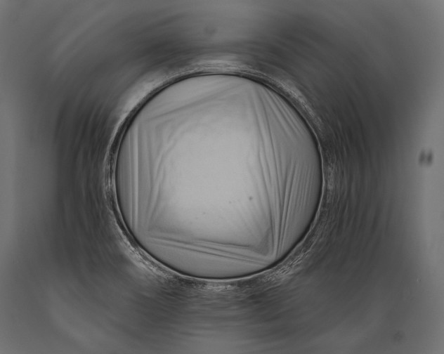 X0000088861466200706291507
