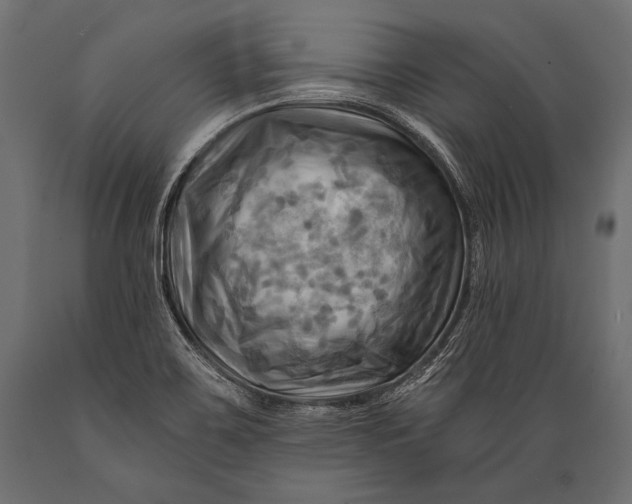 X0000088861467200706291507
