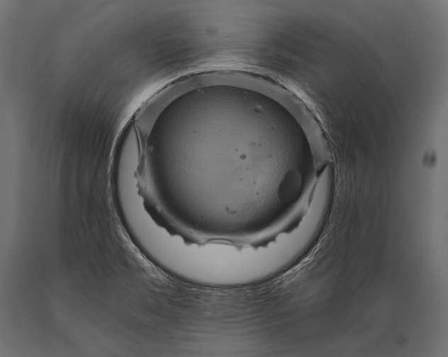 X0000088861469200706291507
