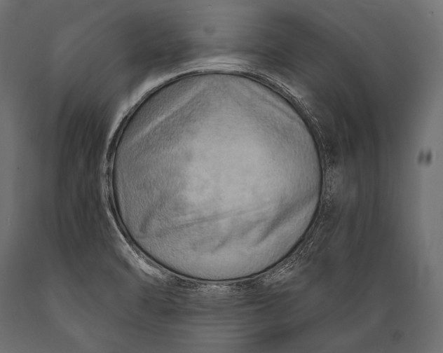 X0000088861470200706291507