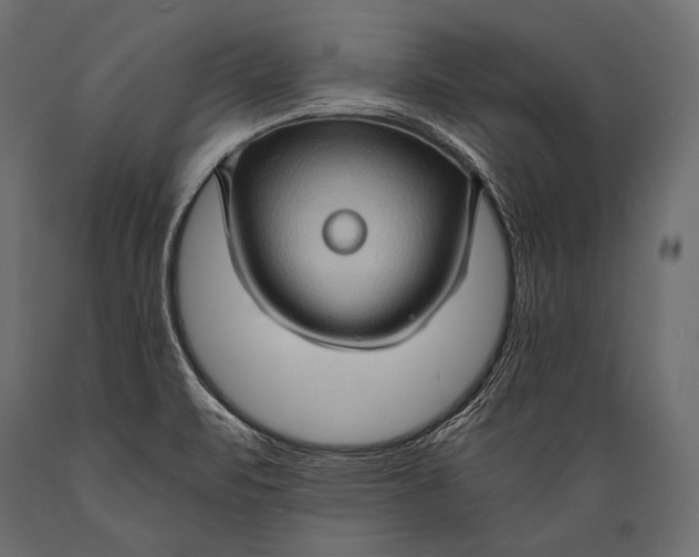 X0000088861471200706291507
