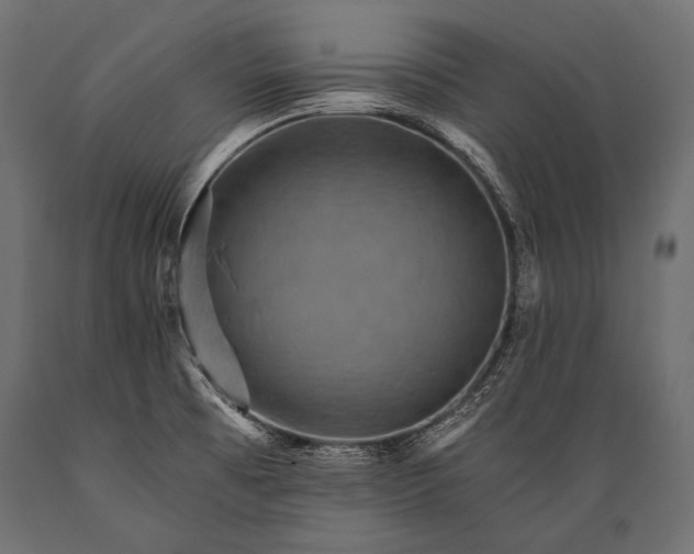 X0000088861473200706291507