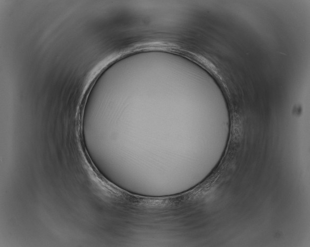 X0000088861474200706291507