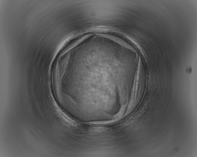 X0000088861475200706291506