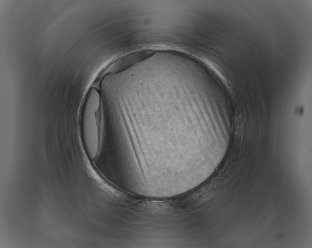 X0000088861476200706291506