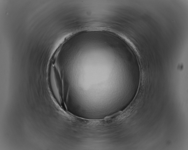 X0000088861477200706291506