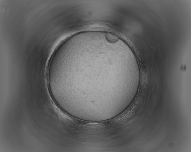 X0000088861478200706291506