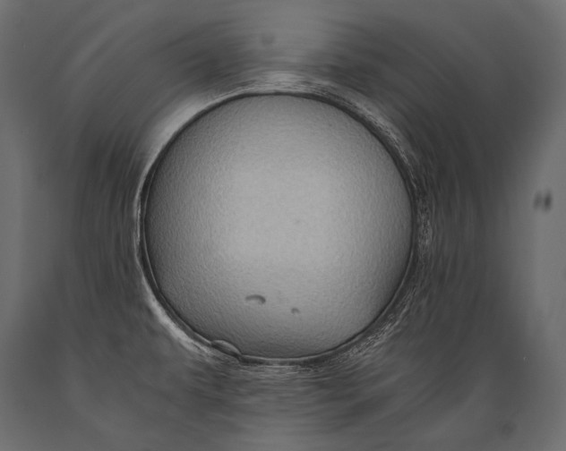 X0000088861479200706291506