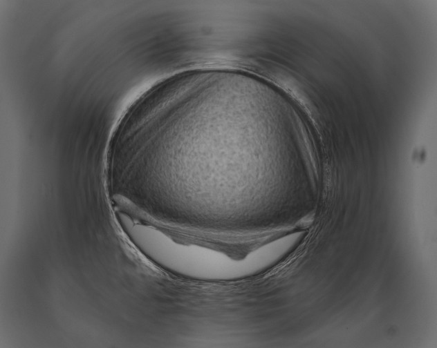 X0000088861480200706291506