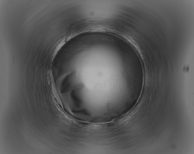 X0000088861481200706291506