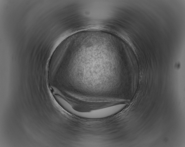 X0000088861483200706291506