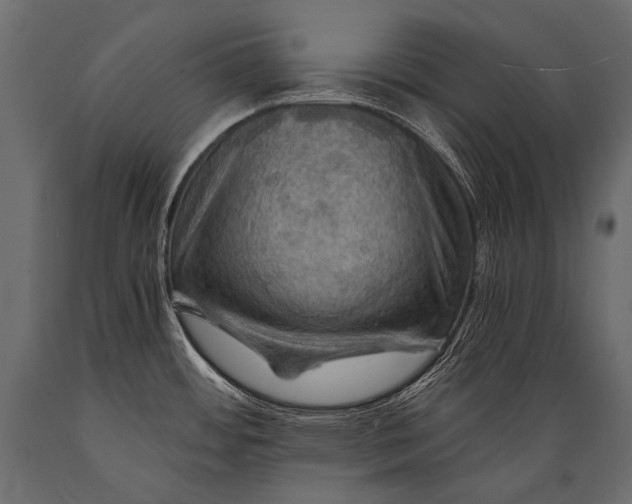 X0000088861484200706291506